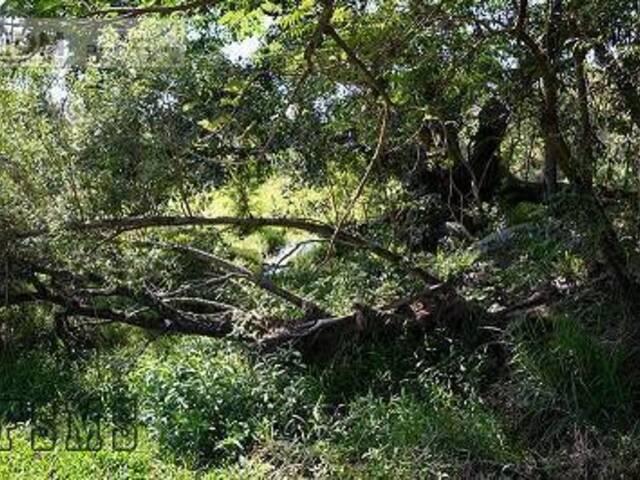 #FAZ11065 - Fazenda para Empreendimento para Venda em Indaiatuba - SP - 3