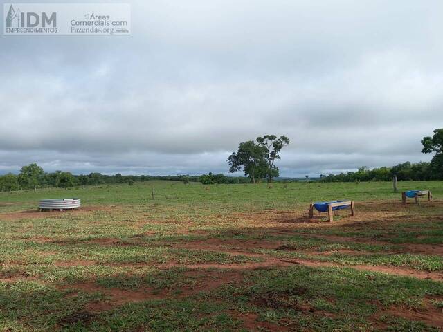 #FAZ11256 - Fazenda Histórica ou Centenária para Venda em Pouso Alegre - MG - 3