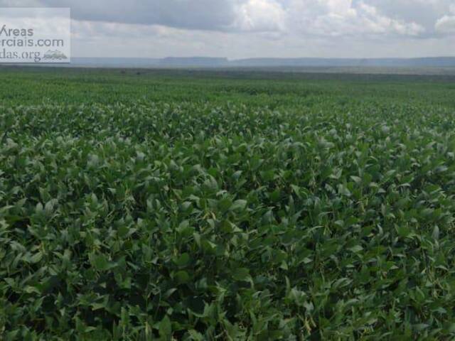 Fazendas Produtoras para Venda em Balsas - 2