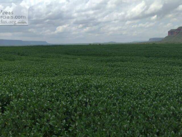 Fazendas Produtoras para Venda em Balsas - 1