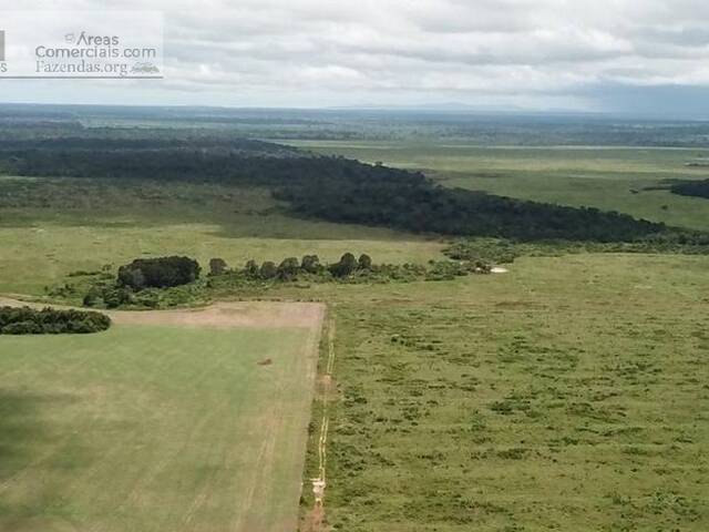 Fazendas Produtoras para Venda em Santana do Araguaia - 1