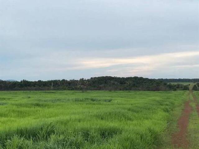 Fazendas Produtoras para Venda em Santana do Araguaia - 3