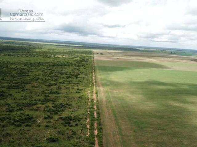 #FAZ12270 - Fazendas Produtoras para Venda em Santana do Araguaia - PA - 2