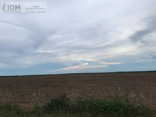 Fazendas Produtoras para Venda em Santana do Araguaia - 4