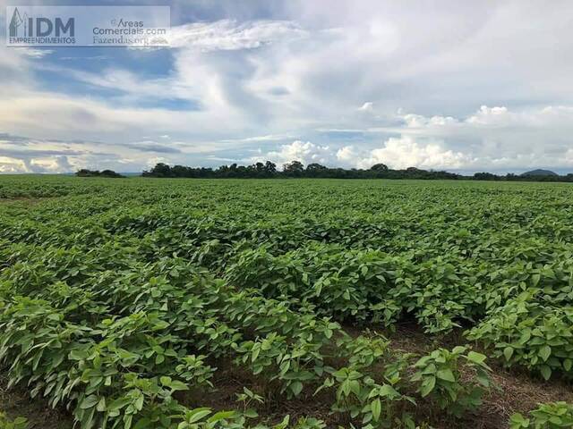 Venda em Rural - Santa Terezinha