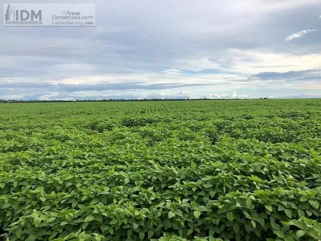 #FAZ12271 - Fazendas Produtoras para Venda em Santa Terezinha - MT - 2