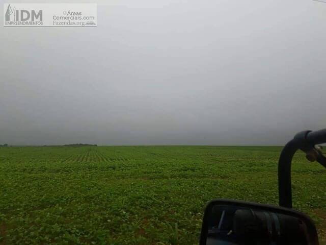 Fazendas Produtoras para Venda em Santa Terezinha - 5