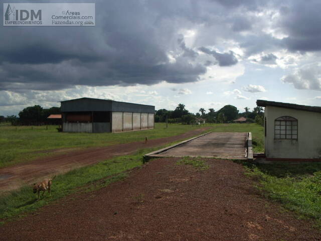 Fazendas Produtoras para Venda em São Félix do Araguaia - 5