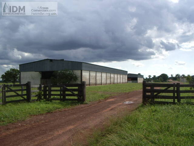 Fazendas Produtoras para Venda em São Félix do Araguaia - 4