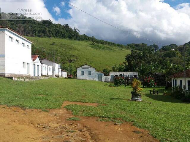 Fazendas Produtoras para Venda em Camamu - 2