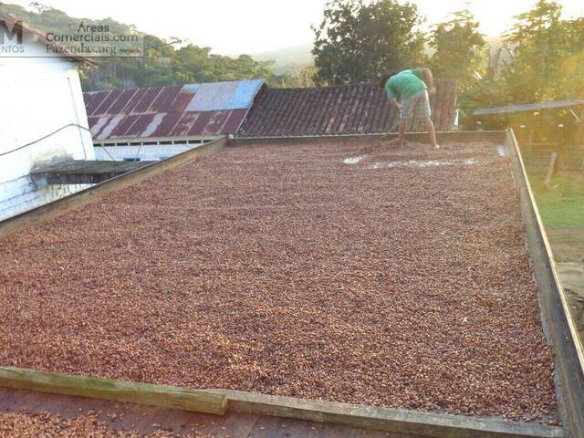 Fazendas Produtoras para Venda em Camamu - 5