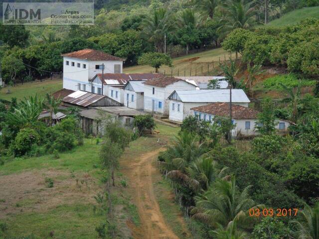 #FAZ11043 - Fazendas Produtoras para Venda em Camamu - BA - 1