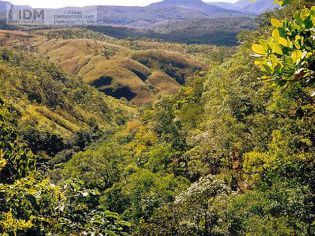 #FAZ11064 - Fazenda para Empreendimento para Venda em Niquelândia - GO