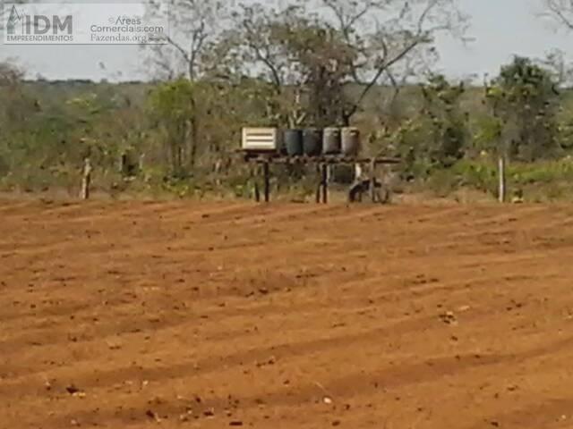 #FAZ11103 - Fazendas Produtoras para Venda em Cristalândia - TO - 1