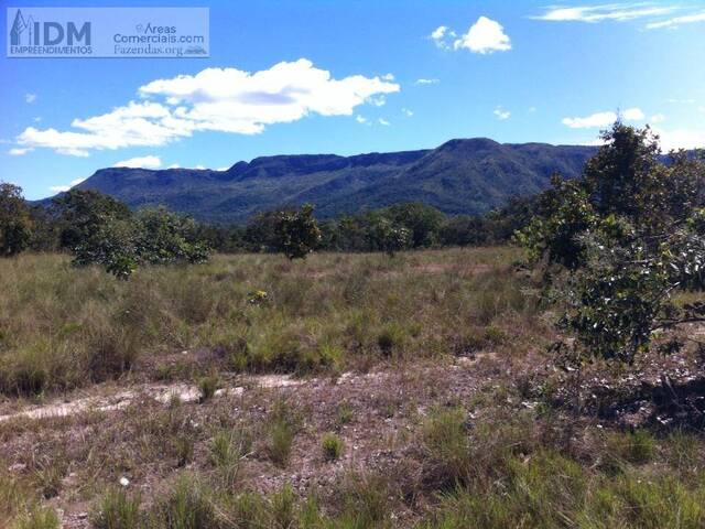 Fazendas Produtoras para Venda em Cavalcante - 4