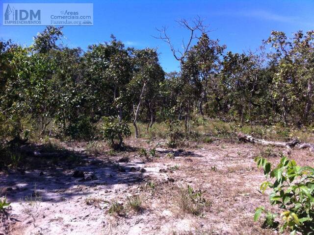 Fazendas Produtoras para Venda em Cavalcante - 5