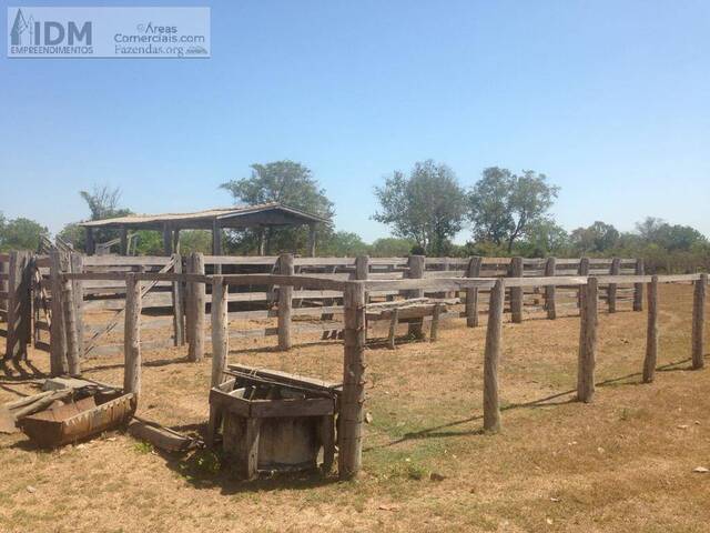 Fazendas Produtoras para Venda em Alto Boa Vista - 2