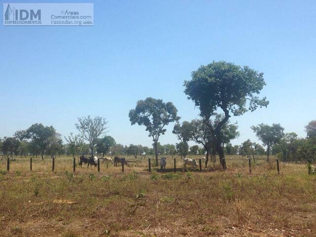 Fazendas Produtoras para Venda em Alto Boa Vista - 1