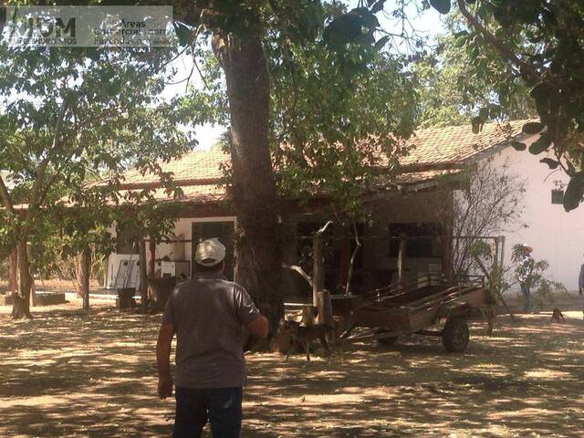 Fazendas Produtoras para Venda em Alto Boa Vista - 4