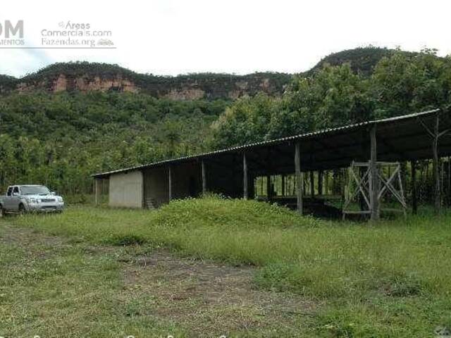 Fazendas Produtoras para Venda em Lajeado - 3