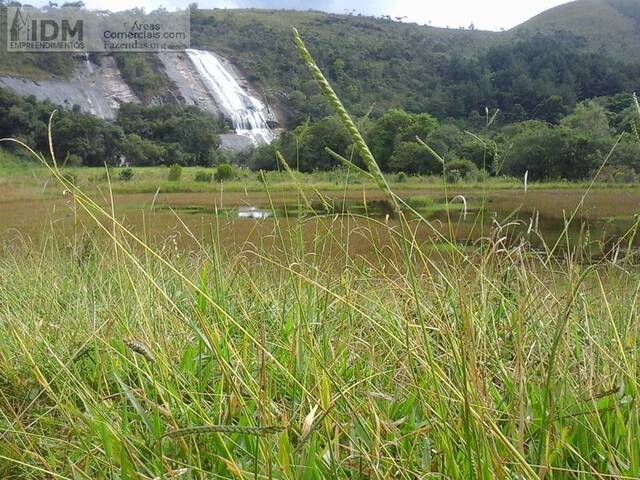 #FAZ12251 - Fazenda para Empreendimento para Venda em Carvalhos - MG - 2