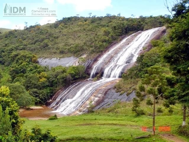 #FAZ12251 - Fazenda para Empreendimento para Venda em Carvalhos - MG - 1