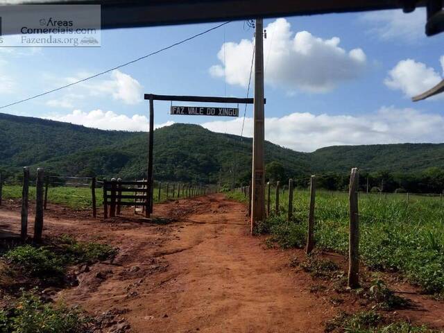 #FAZ11199 - Fazendas Produtoras para Venda em Ibotirama - BA - 1