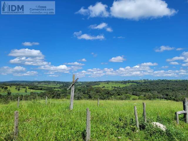 Fazendas Produtoras para Venda em Catalão - 2