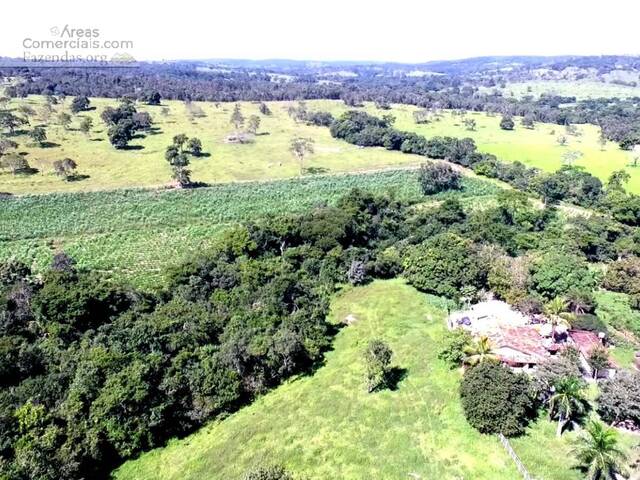 Fazendas Produtoras para Venda em Catalão - 4