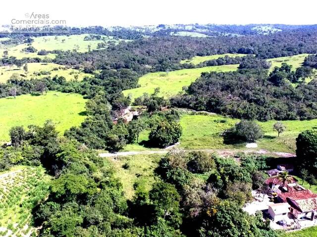 #FAZ12268 - Fazendas Produtoras para Venda em Catalão - GO - 1