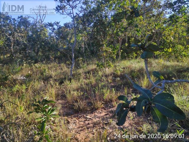 #FAZ12266 - Fazenda para Empreendimento para Venda em Buritizeiro - MG - 2