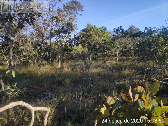 #FAZ12266 - Fazenda para Empreendimento para Venda em Buritizeiro - MG - 3