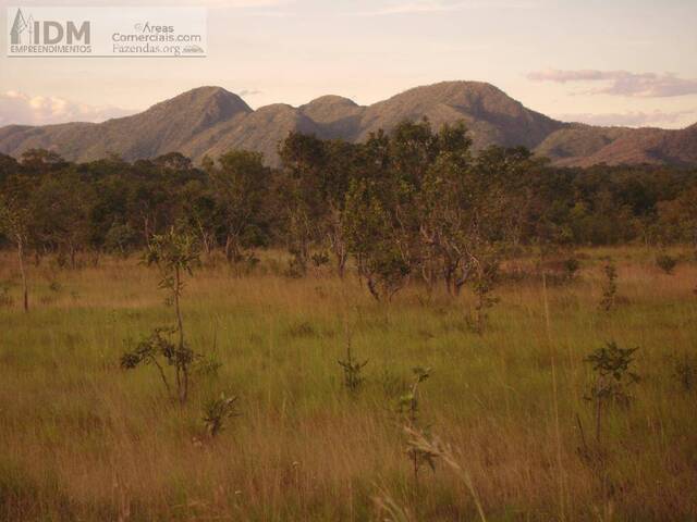 #FAZ12263 - Fazenda para Empreendimento para Venda em Taipas do Tocantins - TO - 1