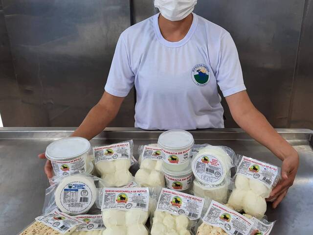 Fazendas Produtoras para Venda em Santana do Itararé - 4