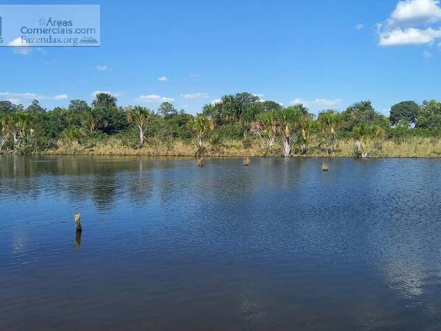 #FAZ12255 - Fazendas Produtoras para Venda em Campo Grande - MS - 3