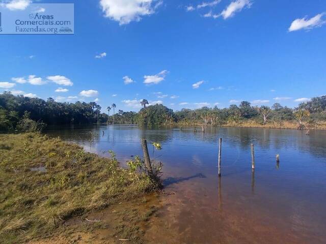 Fazendas Produtoras para Venda em Campo Grande - 5