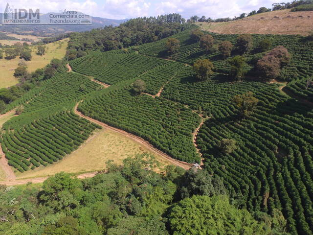 Fazendas Produtoras para Venda em Cambuquira - 3