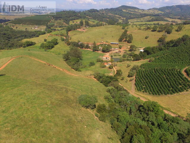 Fazendas Produtoras para Venda em Cambuquira - 1