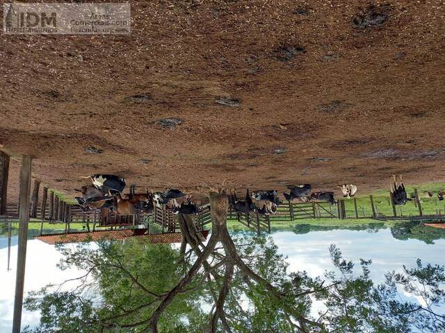 #FAZ12233 - Fazenda para Empreendimento para Venda em Unaí - MG - 2