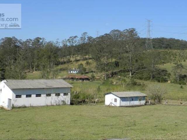 Fazendas Produtoras para Venda em São Lourenço da Serra - 5