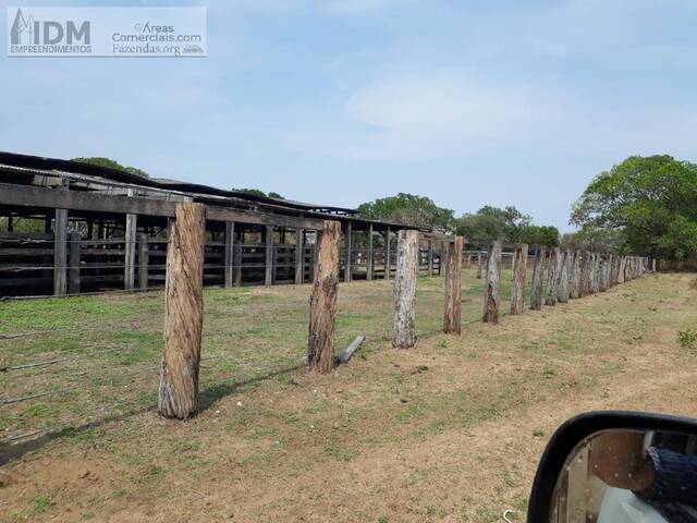 Fazendas Produtoras para Venda em Novo Santo Antônio - 4