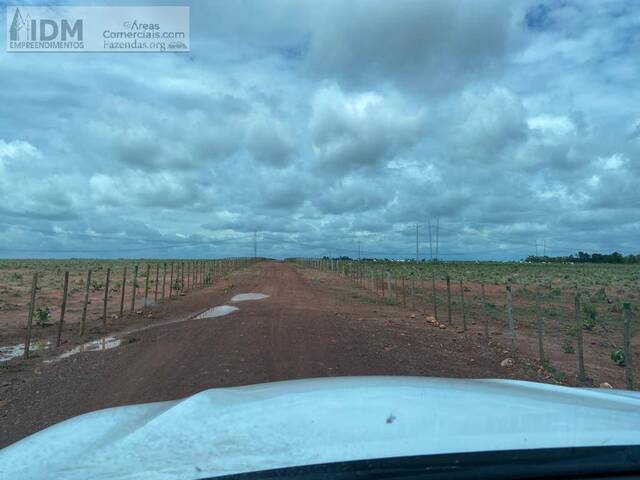 Fazendas Produtoras para Venda em Balsas - 2