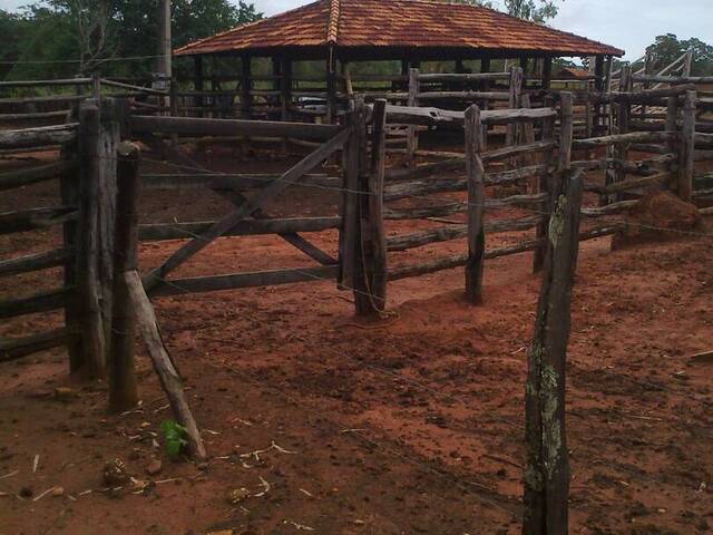 Fazenda para Empreendimento para Venda em Várzea da Palma - 4