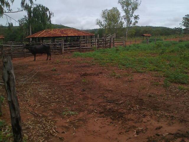 #FAZ11269 - Fazenda para Empreendimento para Venda em Várzea da Palma - MG - 3