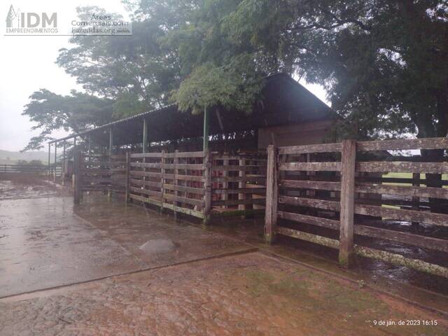 #FAZ11268 - Fazendas Produtoras para Venda em Pouso Alegre - MG
