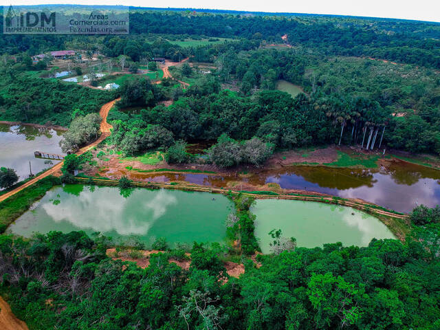 Fazendas Produtoras para Venda em Manaus - 5