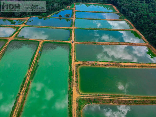 Fazendas Produtoras para Venda em Manaus - 2