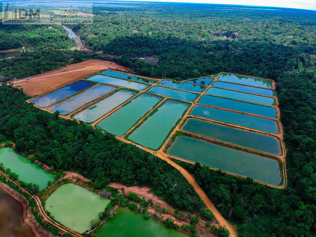Fazendas Produtoras para Venda em Manaus - 4