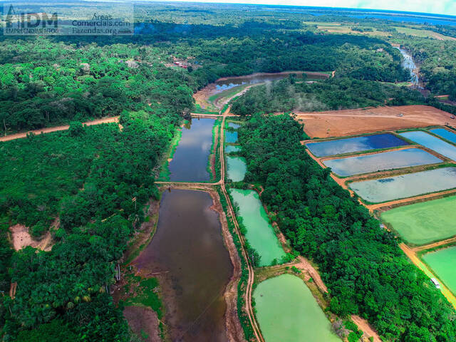 #FAZ11257 - Fazendas Produtoras para Venda em Manaus - AM - 3