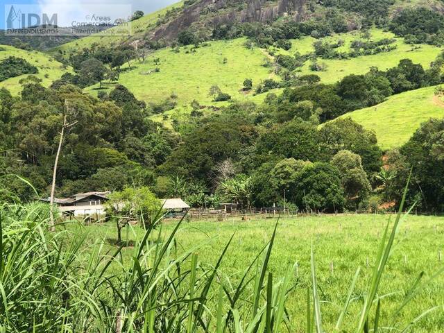 Fazendas Produtoras para Venda em Paraisópolis - 1